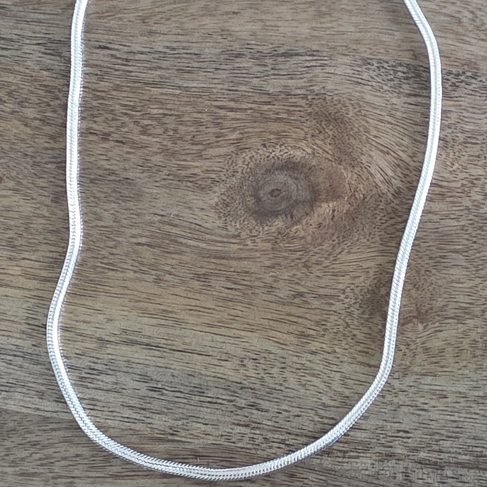 Silver Snake Chain Necklace